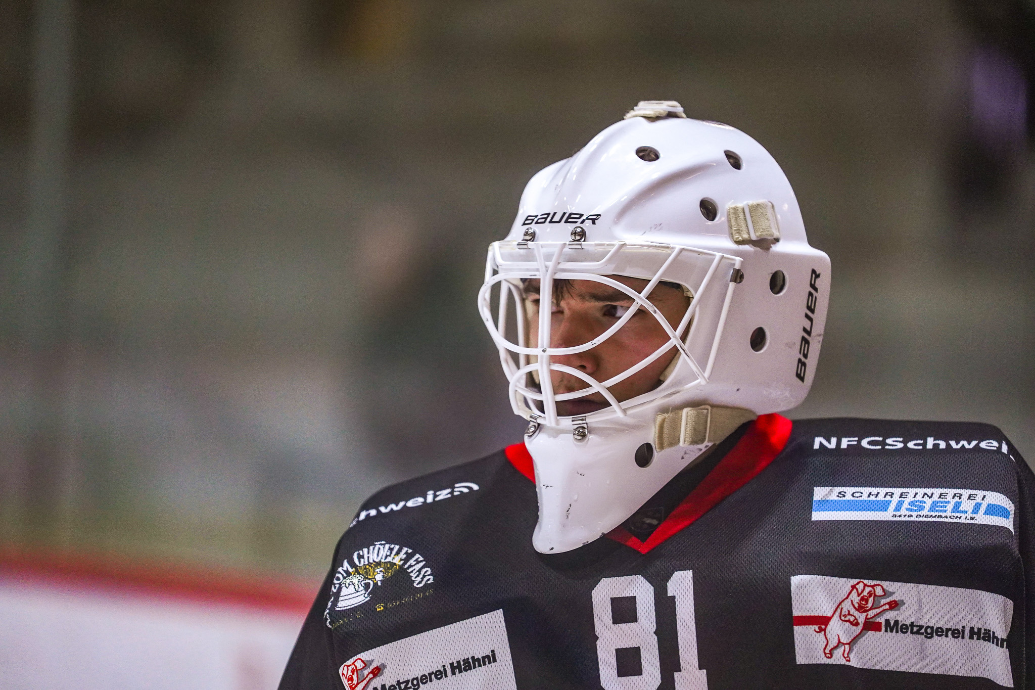 Eishockey Action 3